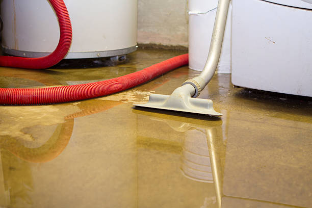 Trusted TX Water damage restoration Experts